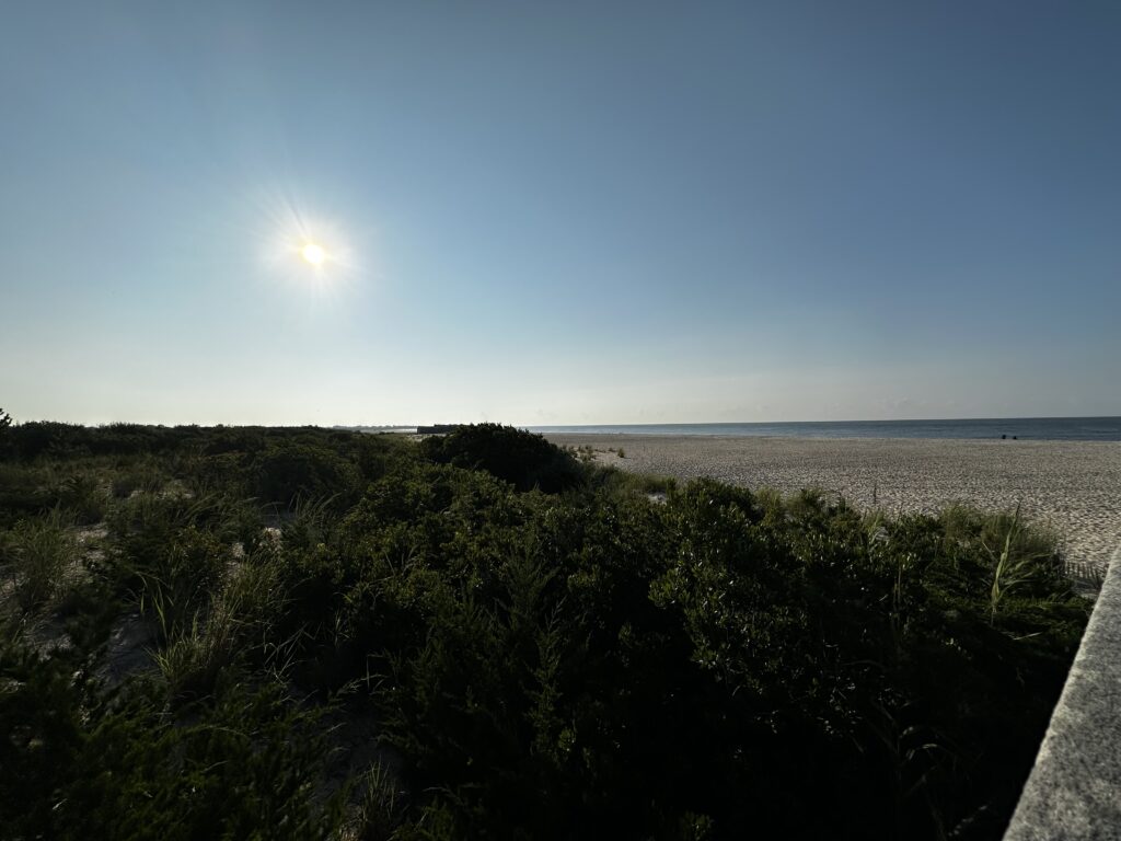 a landscape with trees and water (MyCoast AI)
