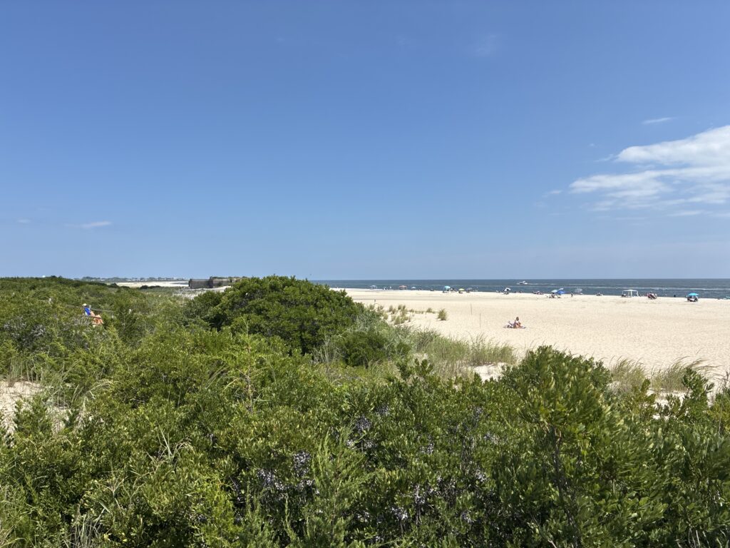 a beach with bushes and trees (MyCoast AI)