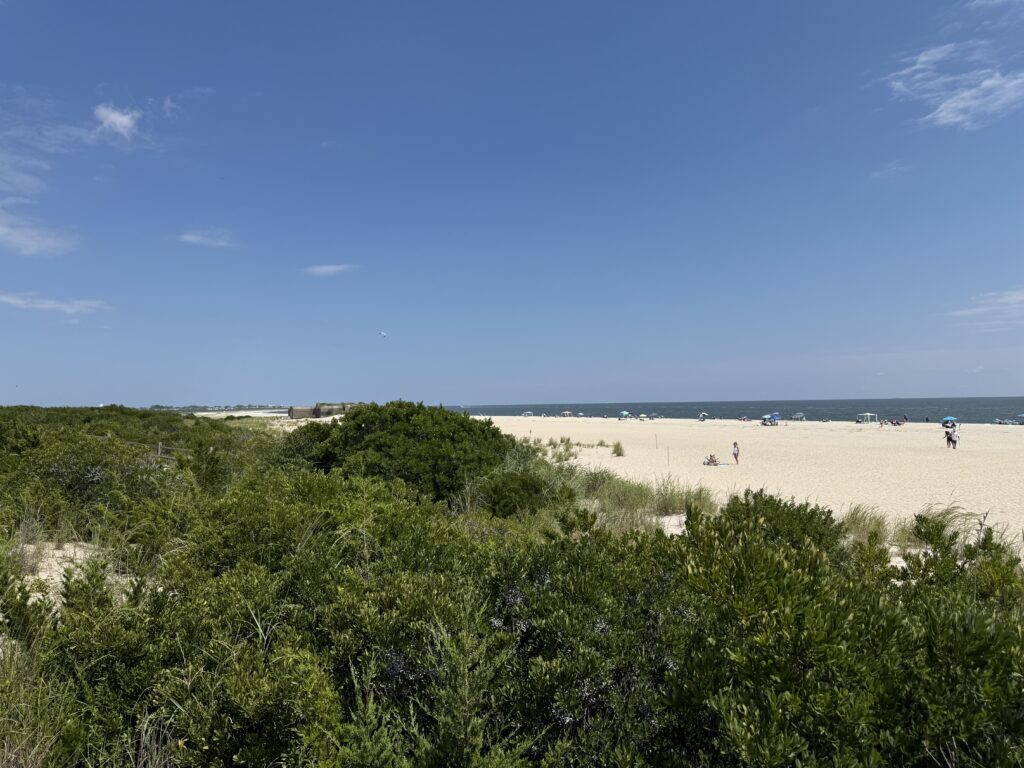 a beach with trees and bushes (MyCoast AI)