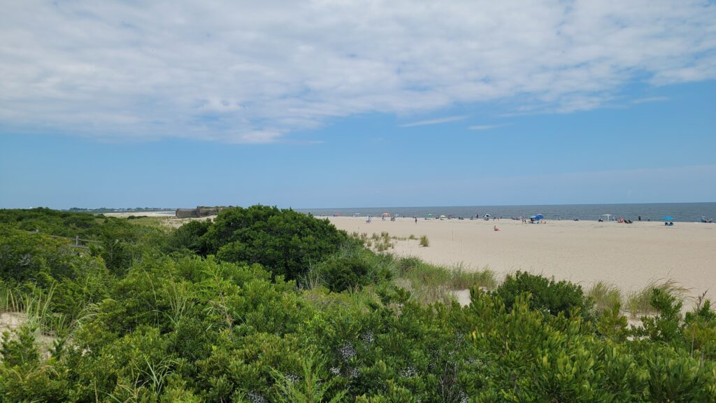 a beach with bushes and trees (MyCoast AI)