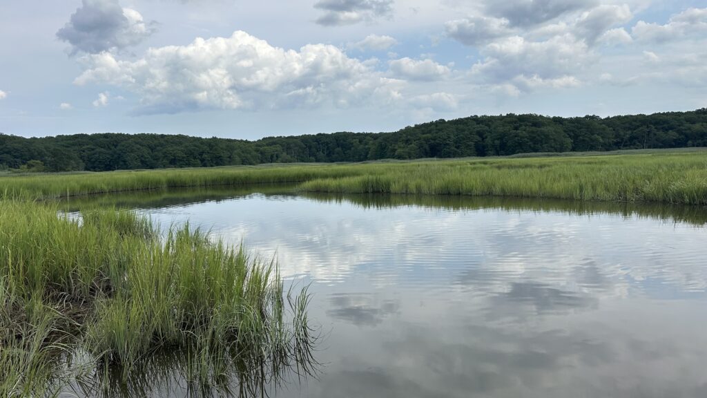 a body of water with grass and trees around it (MyCoast AI)