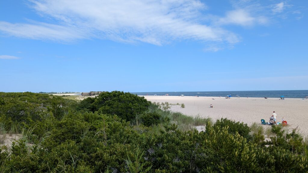 a beach with trees and bushes (MyCoast AI)