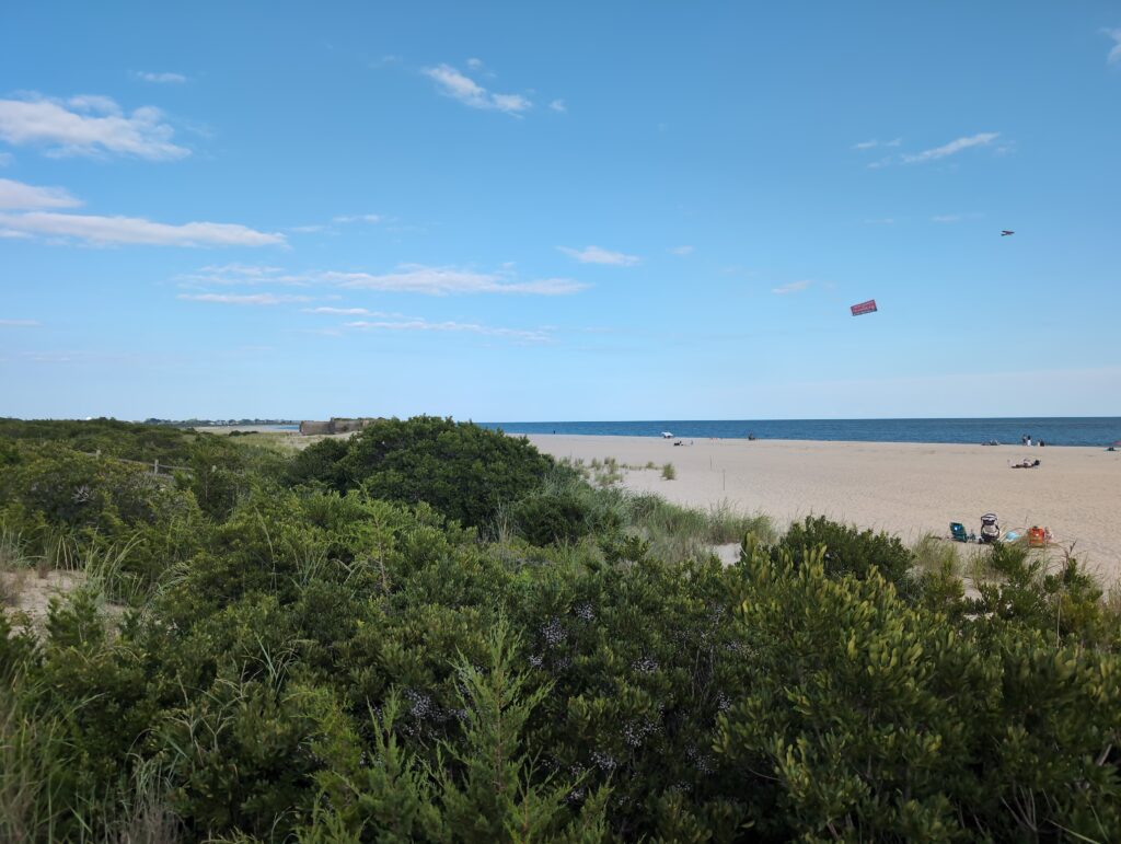 a beach with a few people flying kites (MyCoast AI)