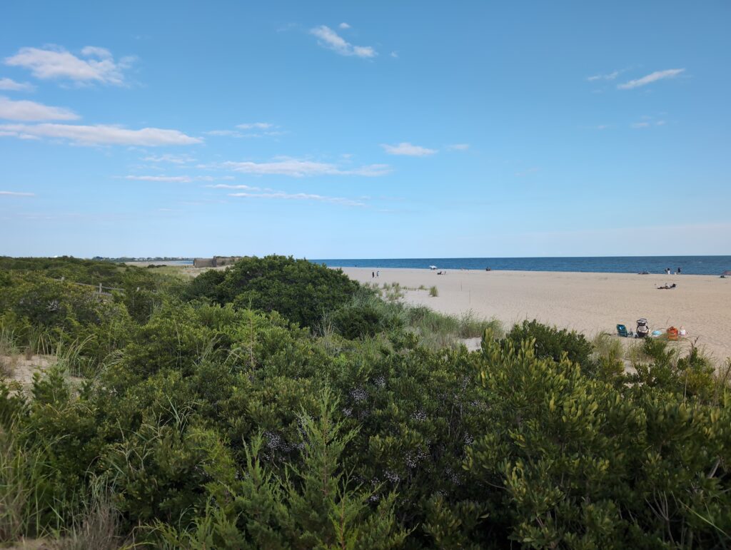 a beach with trees and bushes (MyCoast AI)