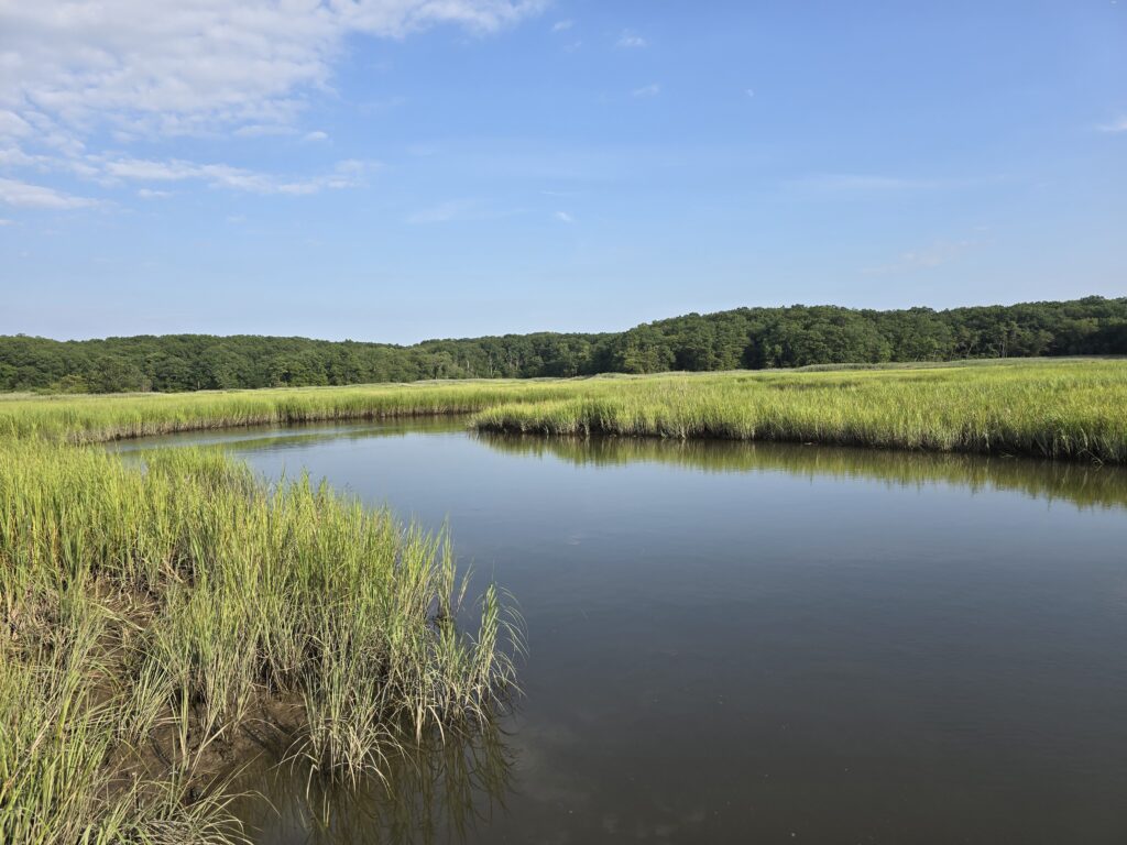 a body of water with grass and trees around it (MyCoast AI)