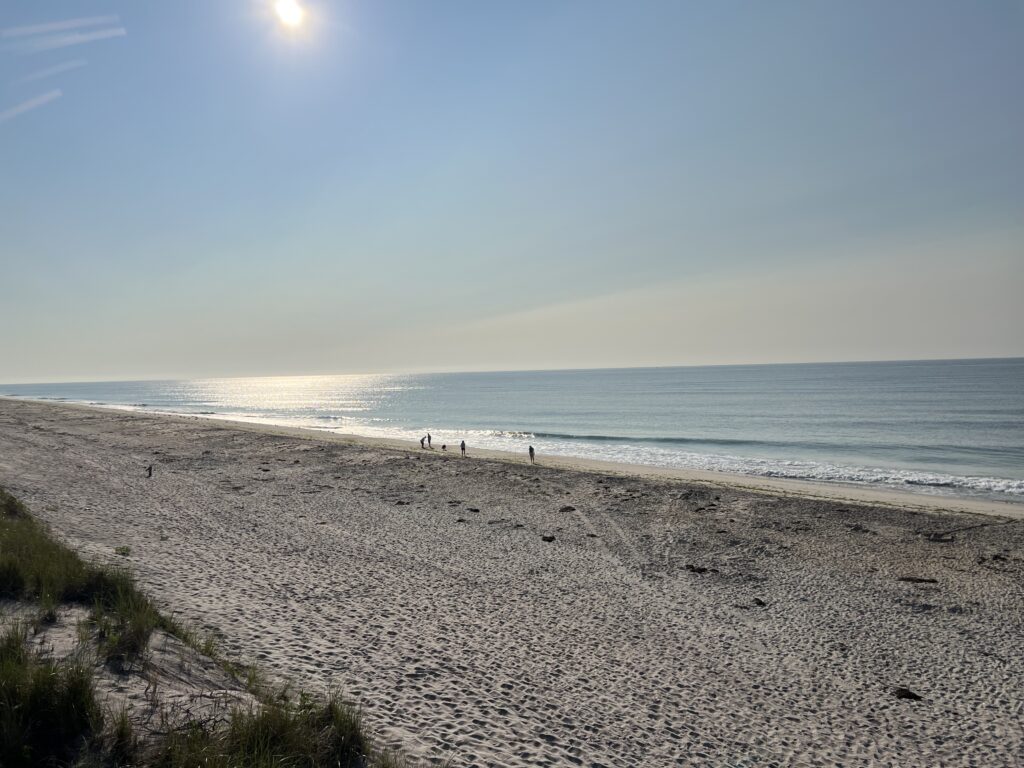 a beach with people on it (MyCoast AI)