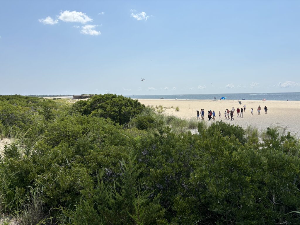 a group of people walking on a beach (MyCoast AI)