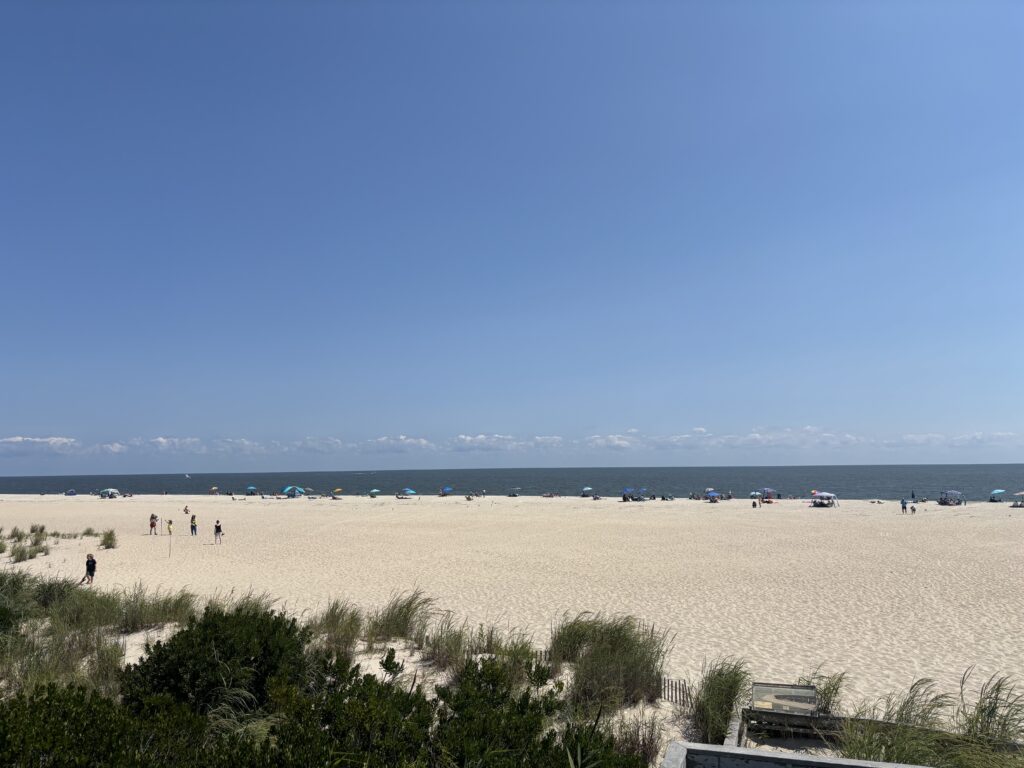 a sandy beach with people walking (MyCoast AI)