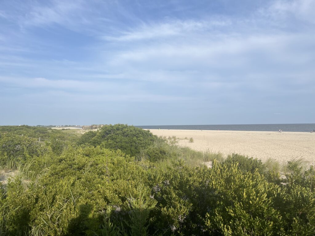 a large field with trees and bushes (MyCoast AI)