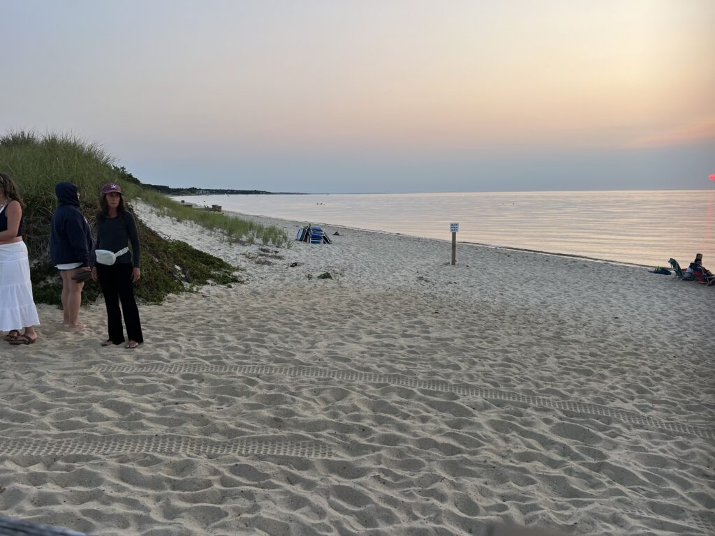 a group of people standing on a beach (MyCoast AI)