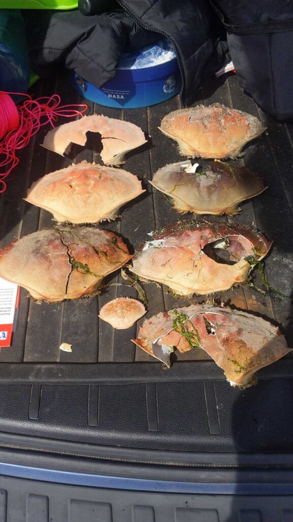 a group of meats on a grill (MyCoast AI)