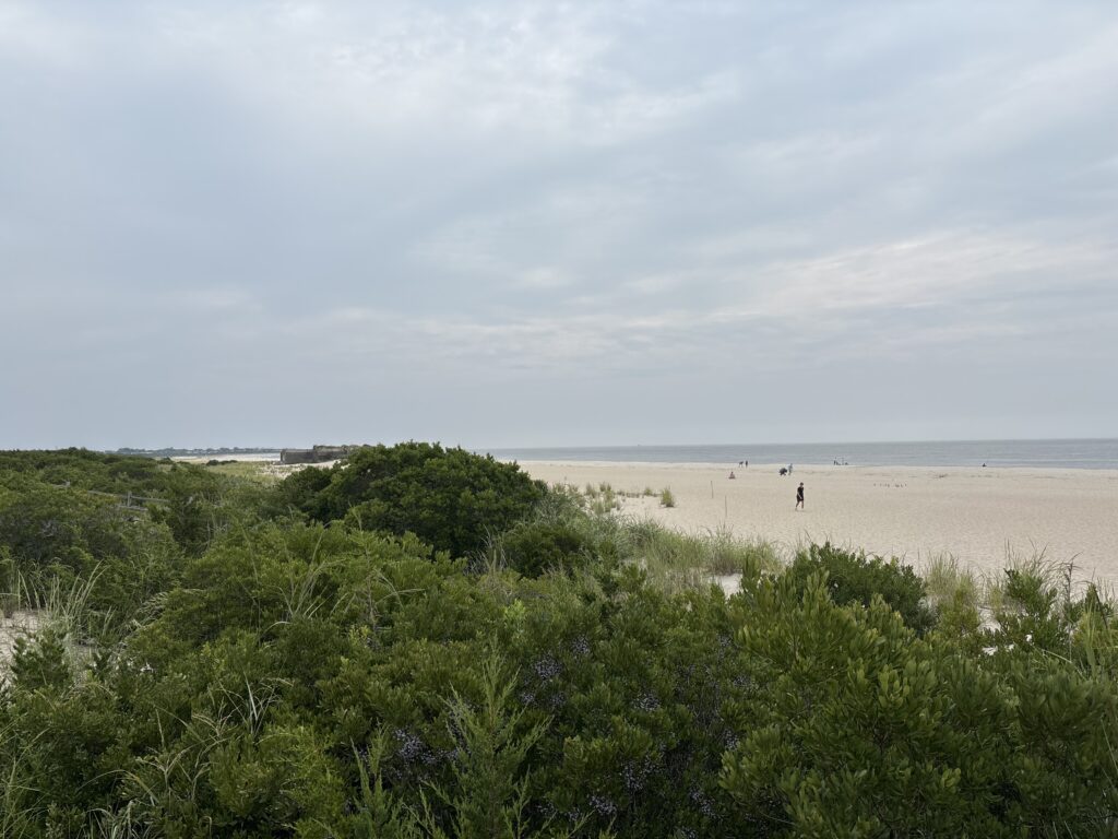 a beach with trees and bushes (MyCoast AI)