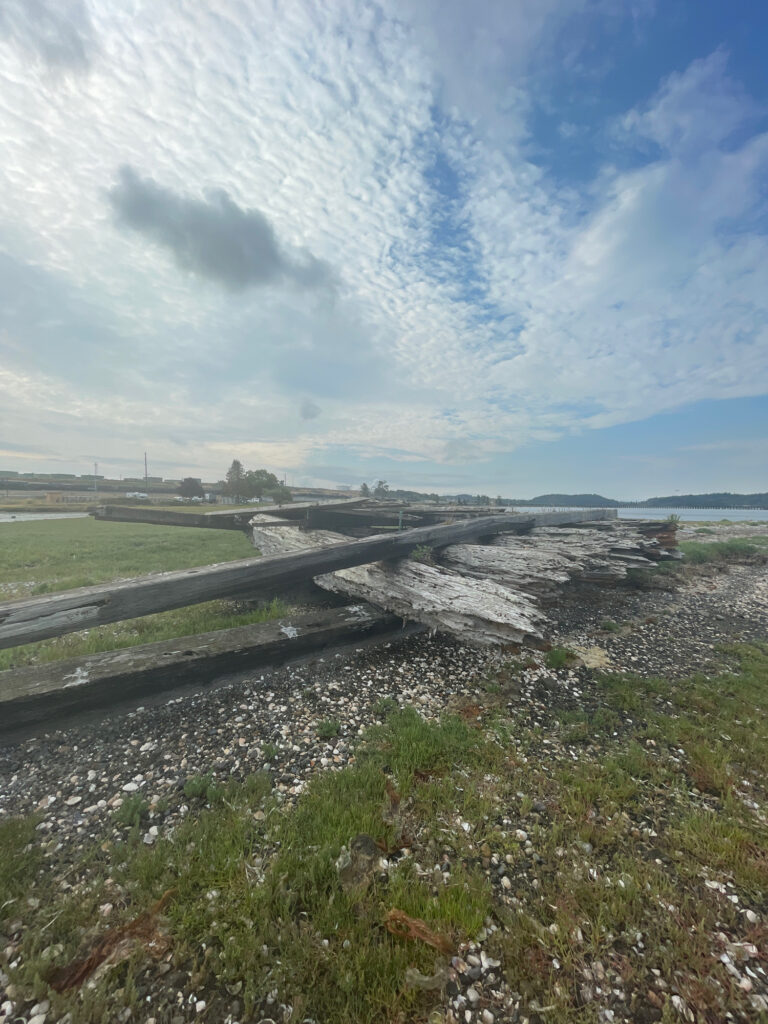 a road with water on the side (MyCoast AI)