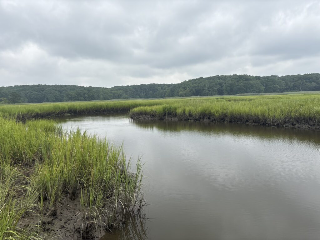 a body of water with grass and trees around it (MyCoast AI)