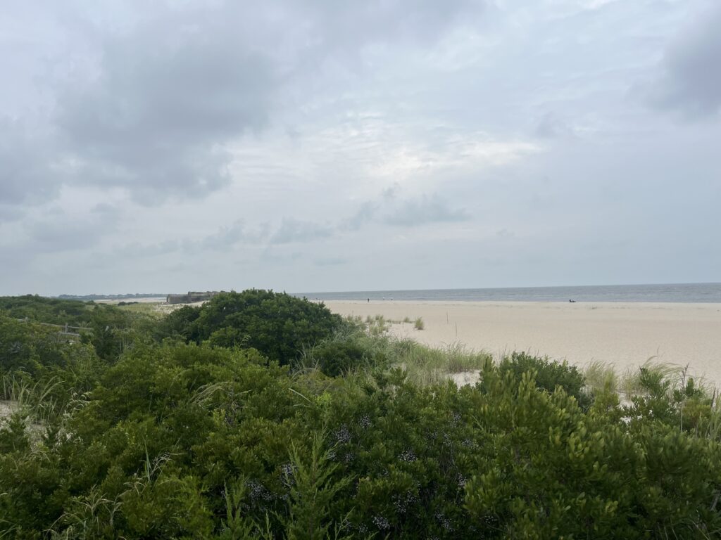 a beach with trees and bushes (MyCoast AI)