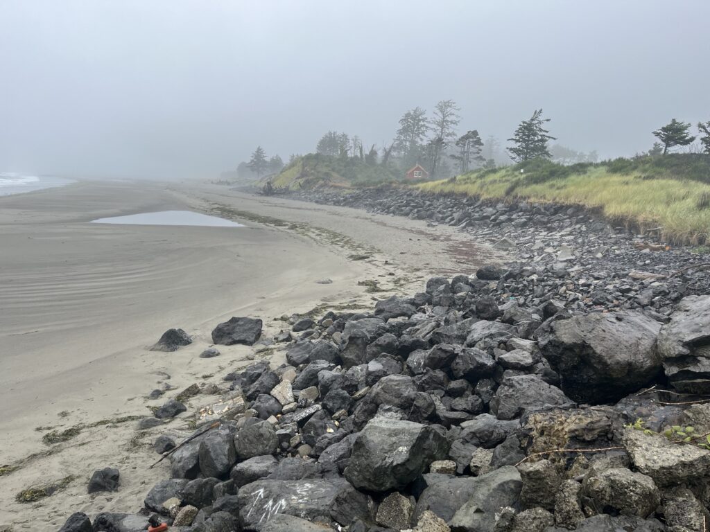 a rocky beach with trees in the background (MyCoast AI)