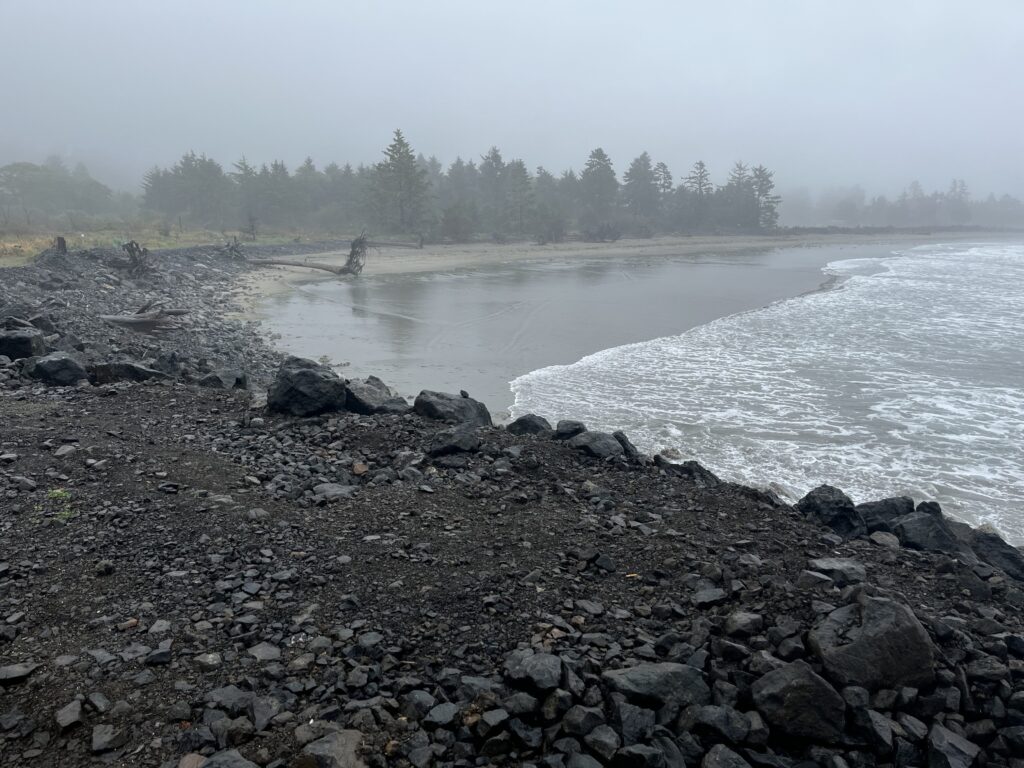 a rocky beach with a body of water and trees in the background (MyCoast AI)