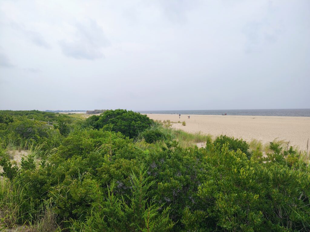 a large area of land with trees (MyCoast AI)