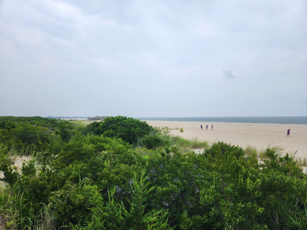 a group of people walking on a beach (MyCoast AI)