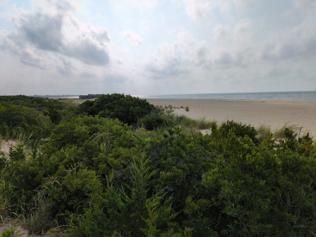 a beach with trees and water (MyCoast AI)