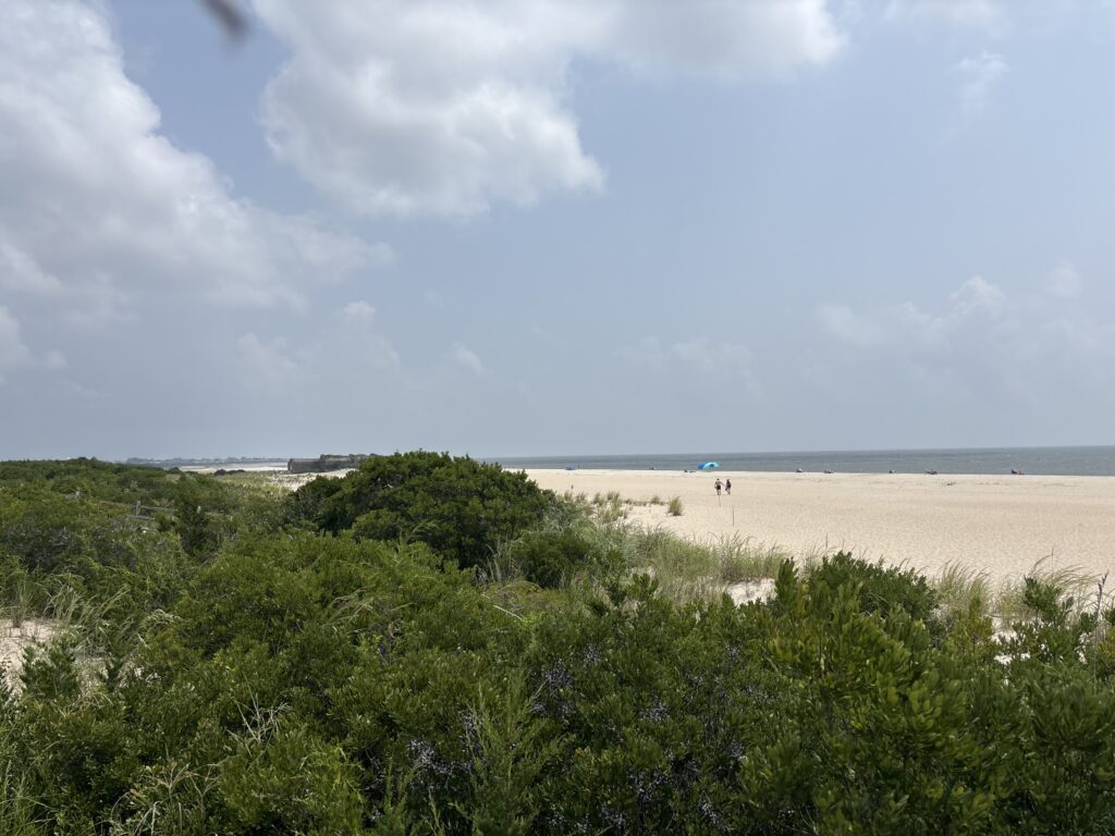 a sandy beach with trees (MyCoast AI)