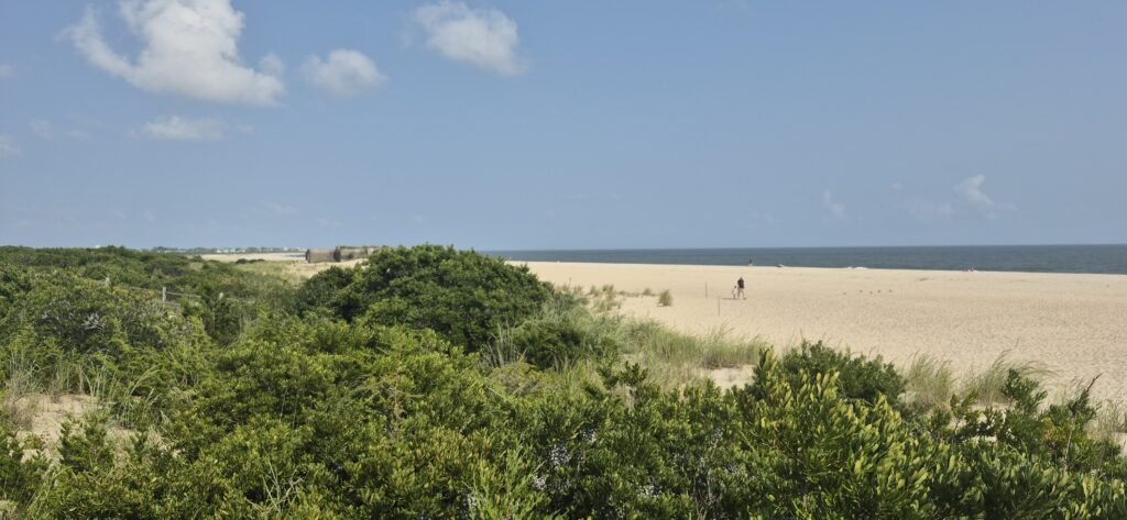 a person walking on a beach (MyCoast AI)