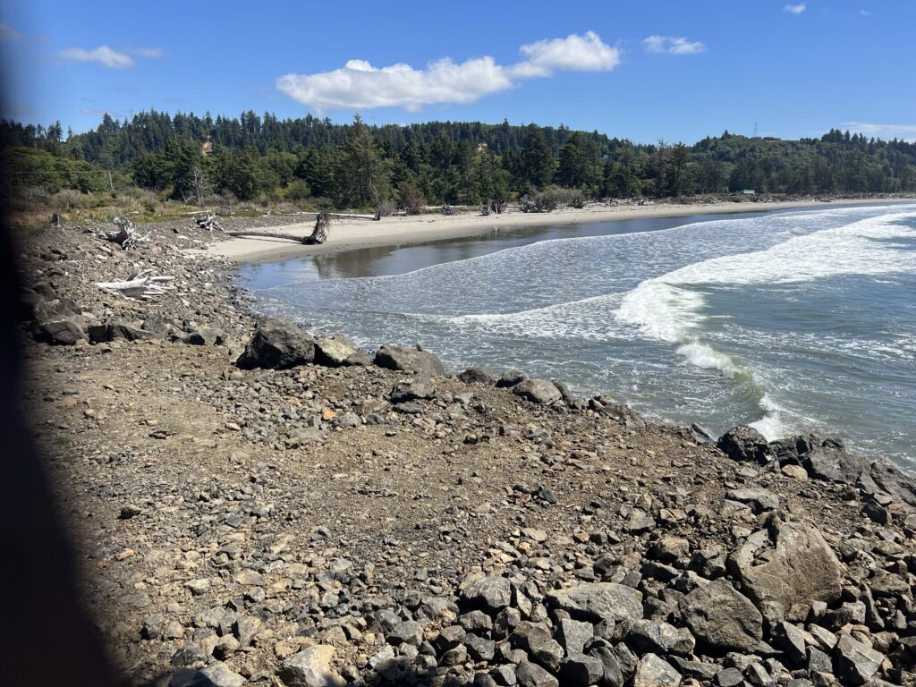 a rocky beach with trees in the background (MyCoast AI)