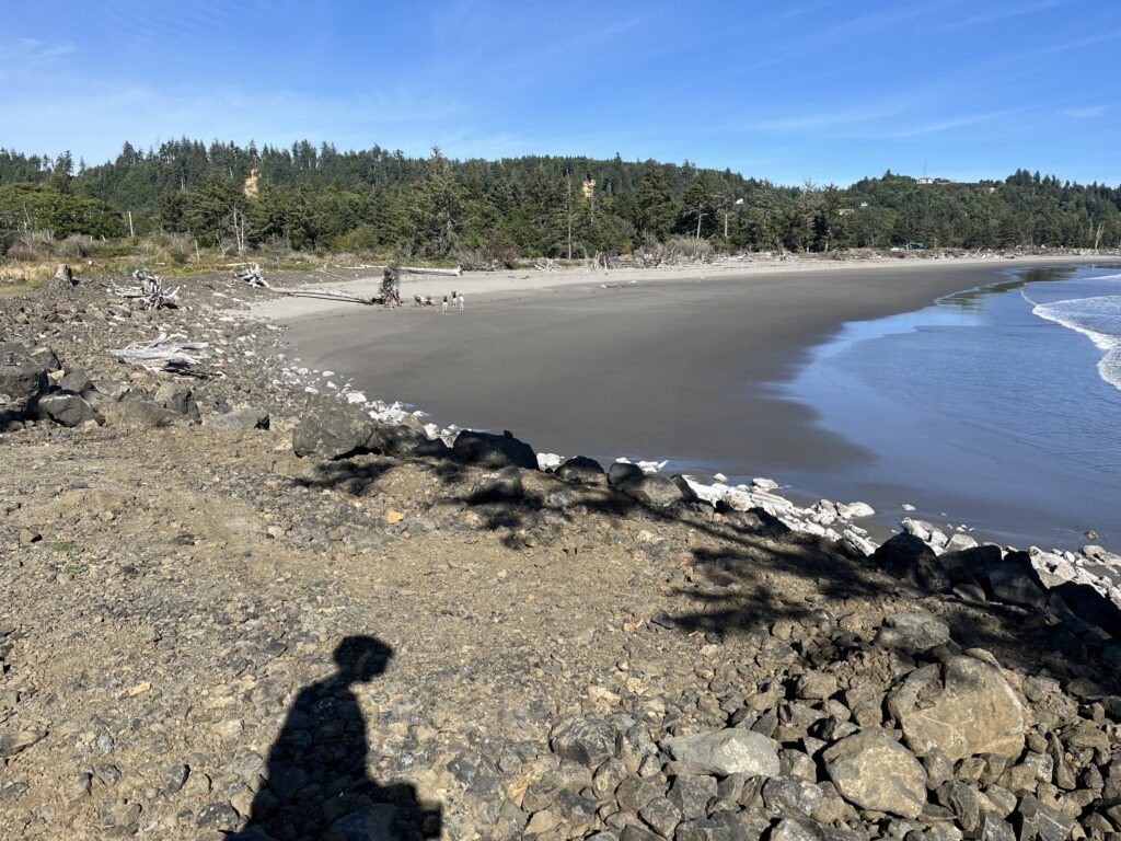 a rocky beach with a body of water and trees in the background (MyCoast AI)