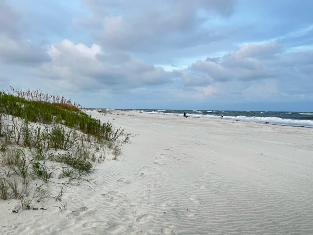 a beach with people walking on it (MyCoast AI)