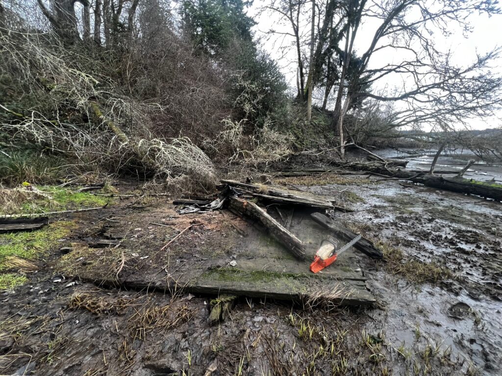 a creek with trees and a pile of logs (MyCoast AI)