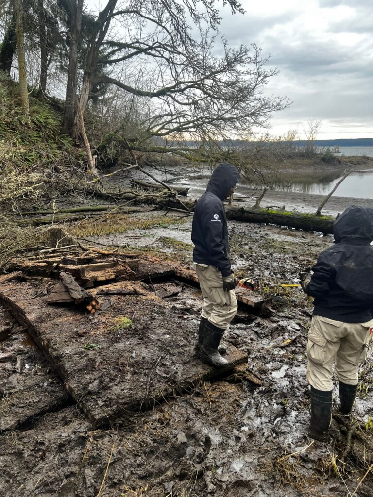 a couple of people standing next to a tree that has fallen (MyCoast AI)