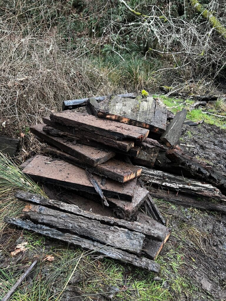 a pile of wood (MyCoast AI)