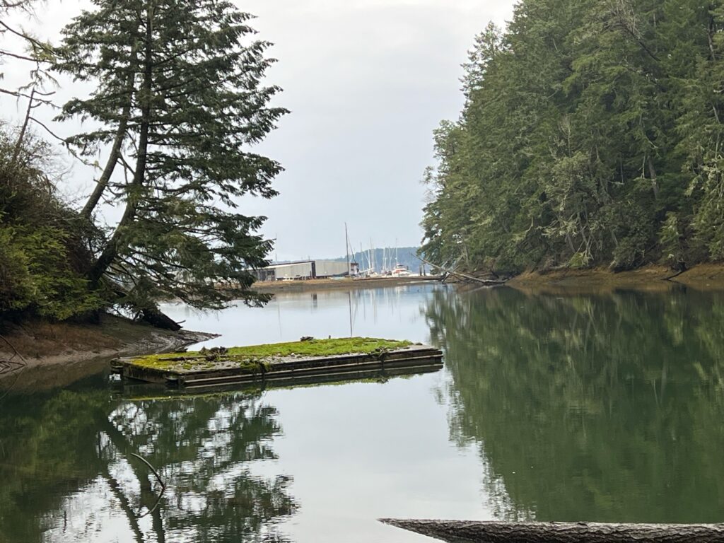 a body of water with trees and a dock in it (MyCoast AI)