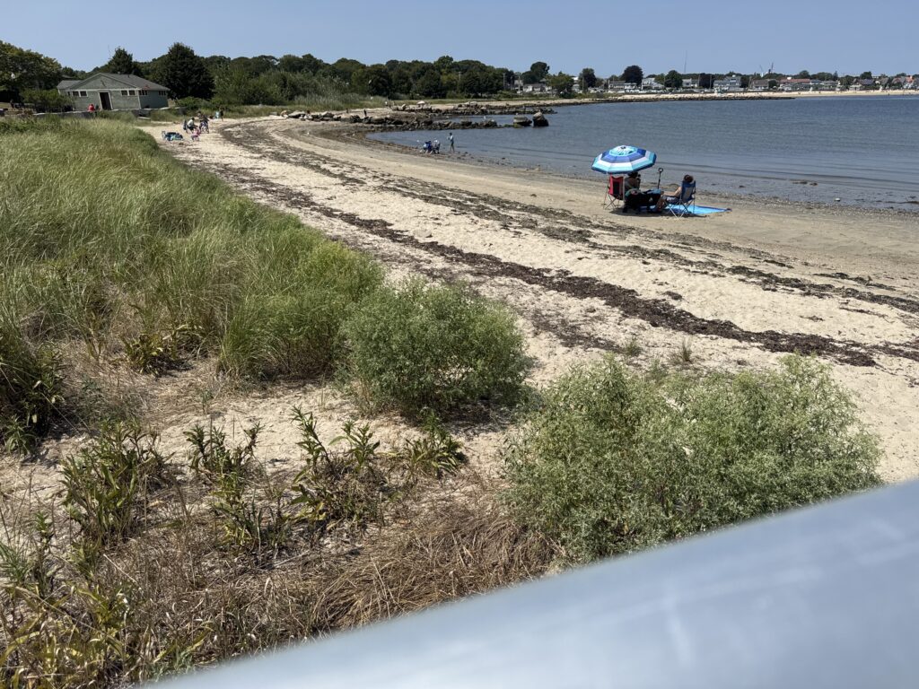 a beach with a blue umbrella (MyCoast AI)
