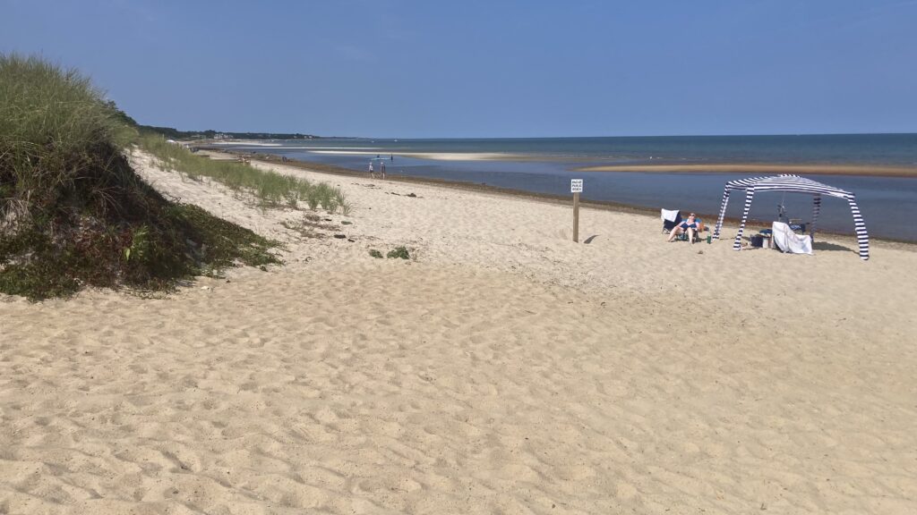 a beach with a hammock and chairs (MyCoast AI)