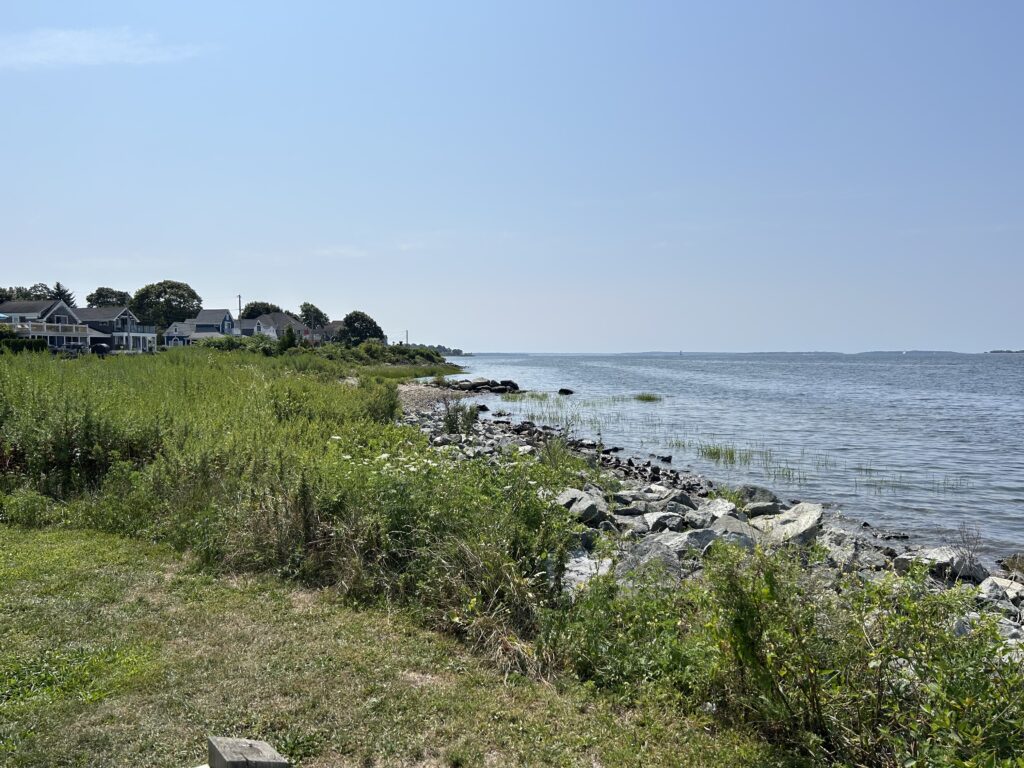 a grassy area next to a body of water (MyCoast AI)