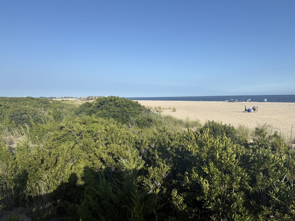 a group of people walking on a beach (MyCoast AI)