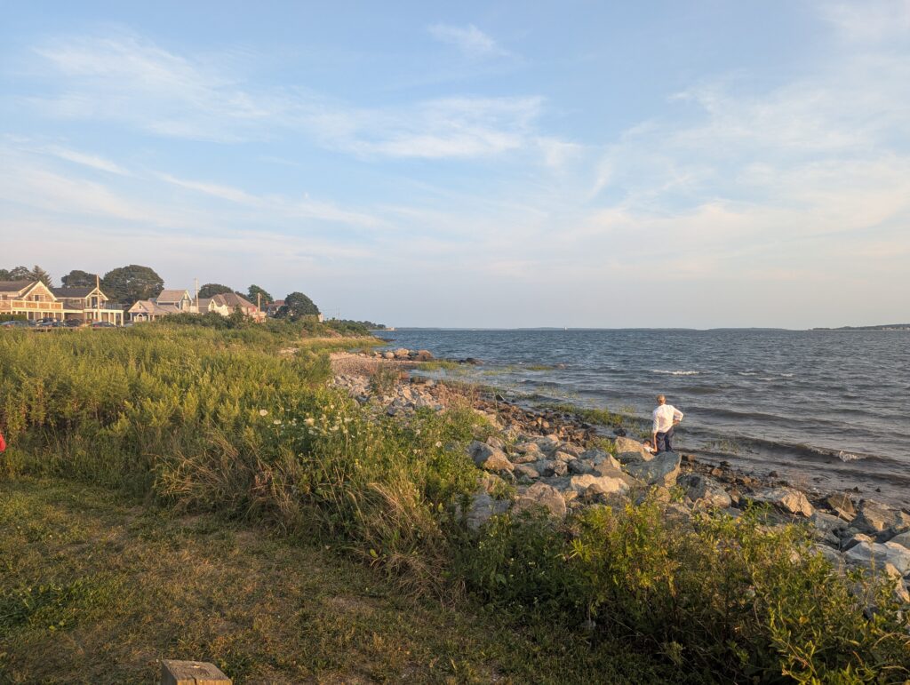 a person standing on a rocky beach (MyCoast AI)