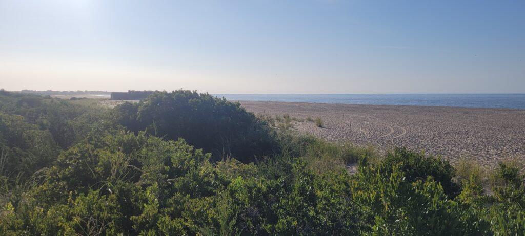 a landscape with trees and a body of water in the background (MyCoast AI)