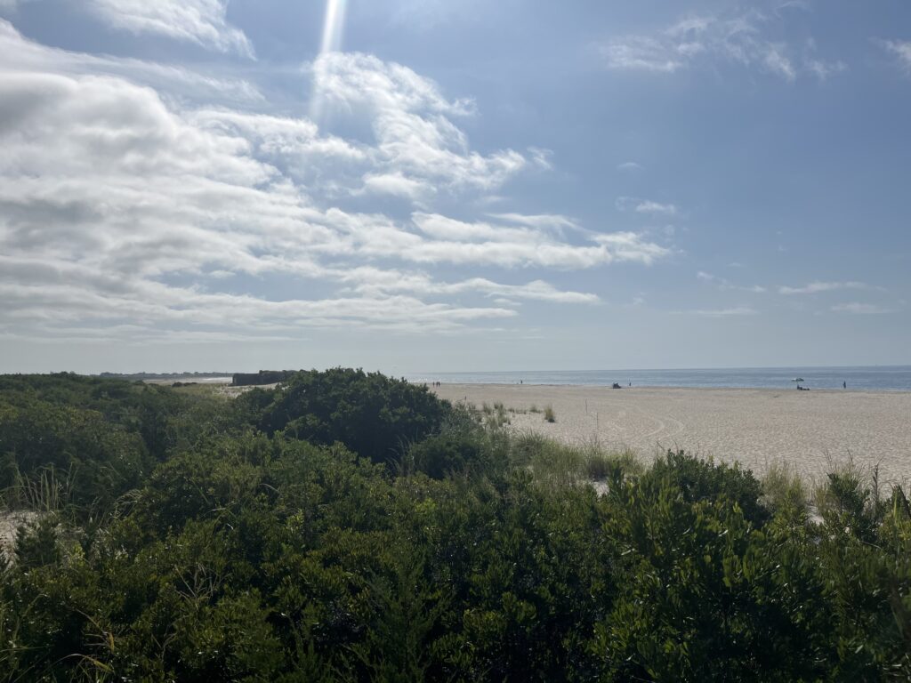 a beach with trees and bushes (MyCoast AI)