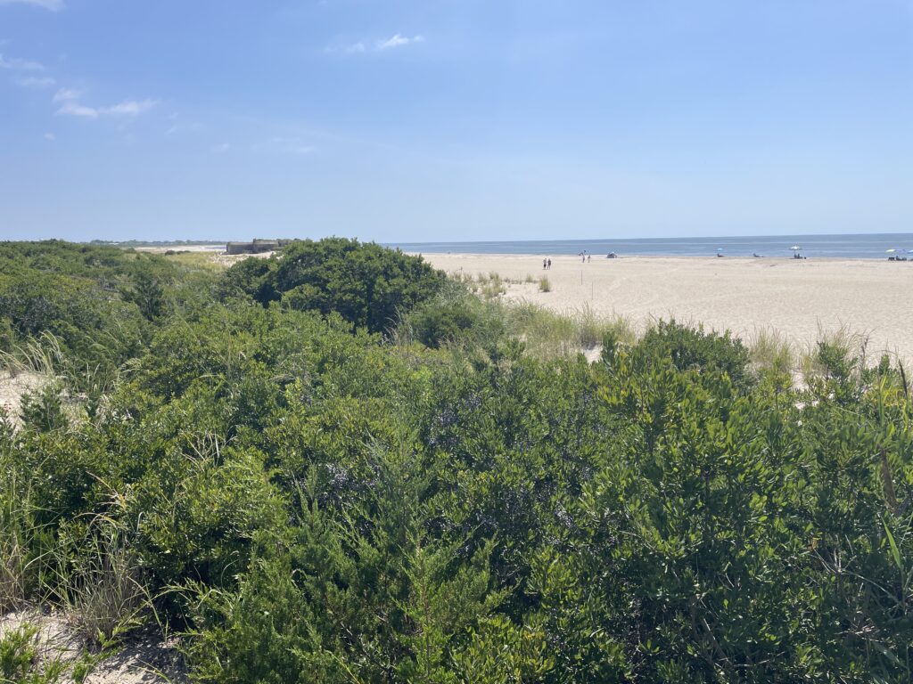 a large area of land with trees (MyCoast AI)