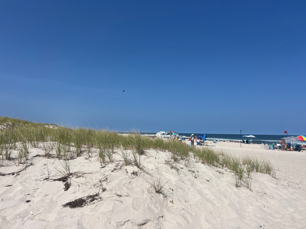 a sandy beach with people and umbrellas (MyCoast AI)