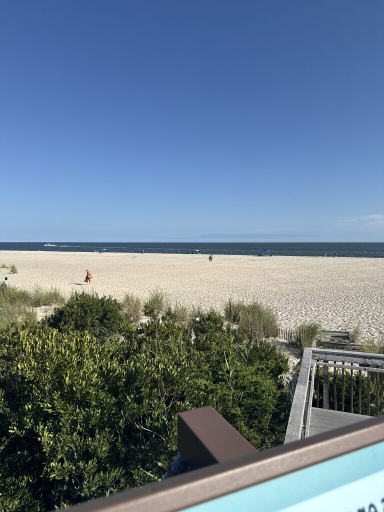 a beach with people on it (MyCoast AI)