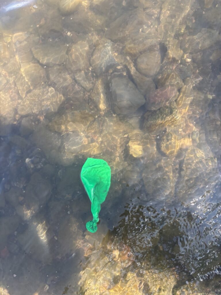 a green figure on a rock (MyCoast AI)