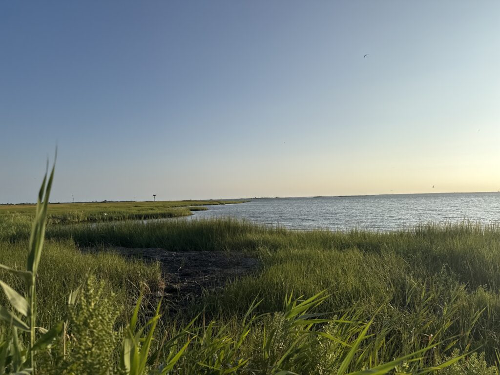 a grassy area next to a body of water (MyCoast AI)