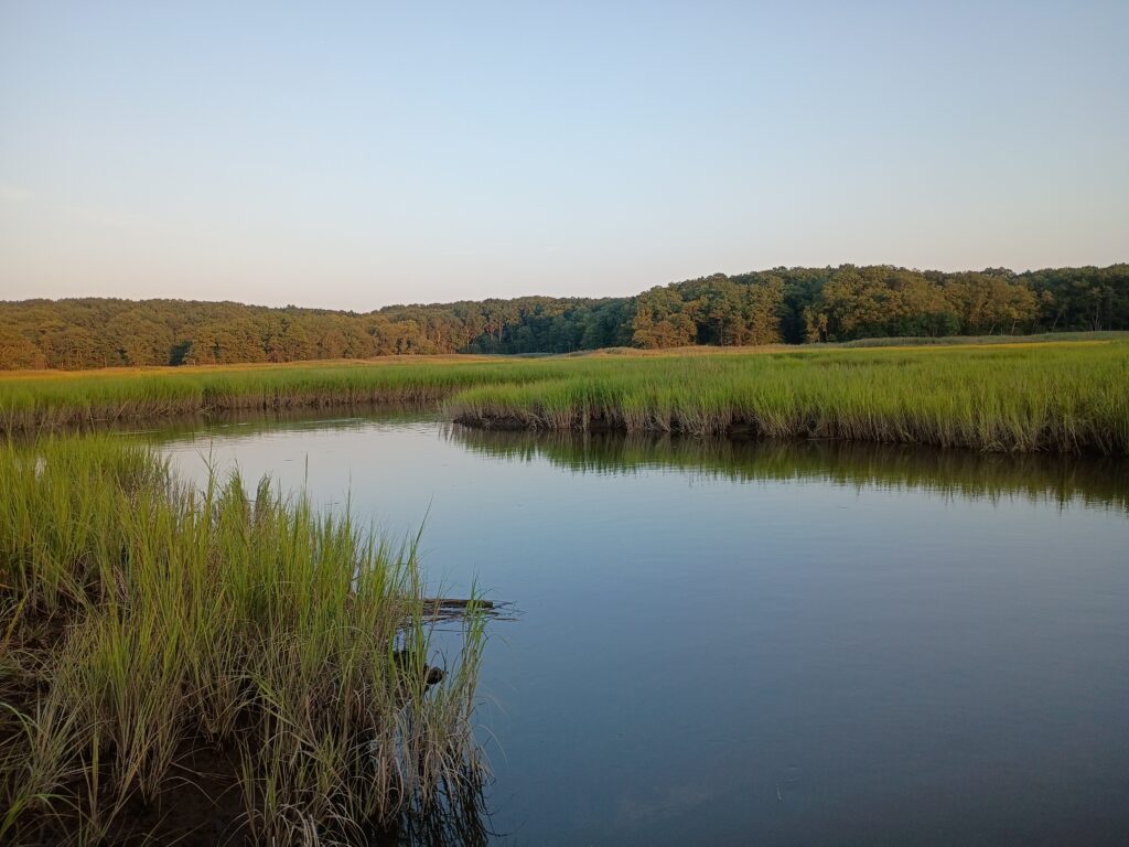 a body of water with grass and trees around it (MyCoast AI)