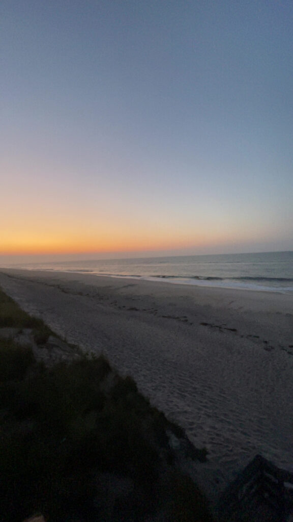 a beach with a body of water in the background (MyCoast AI)