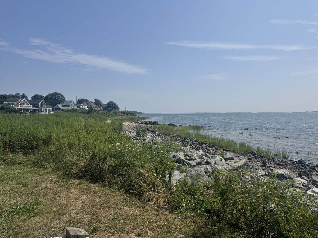 a beach with houses along it (MyCoast AI)