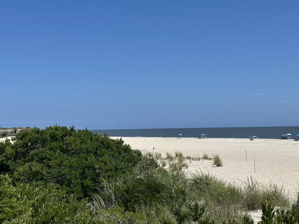 a sandy beach with bushes and a body of water in the background (MyCoast AI)