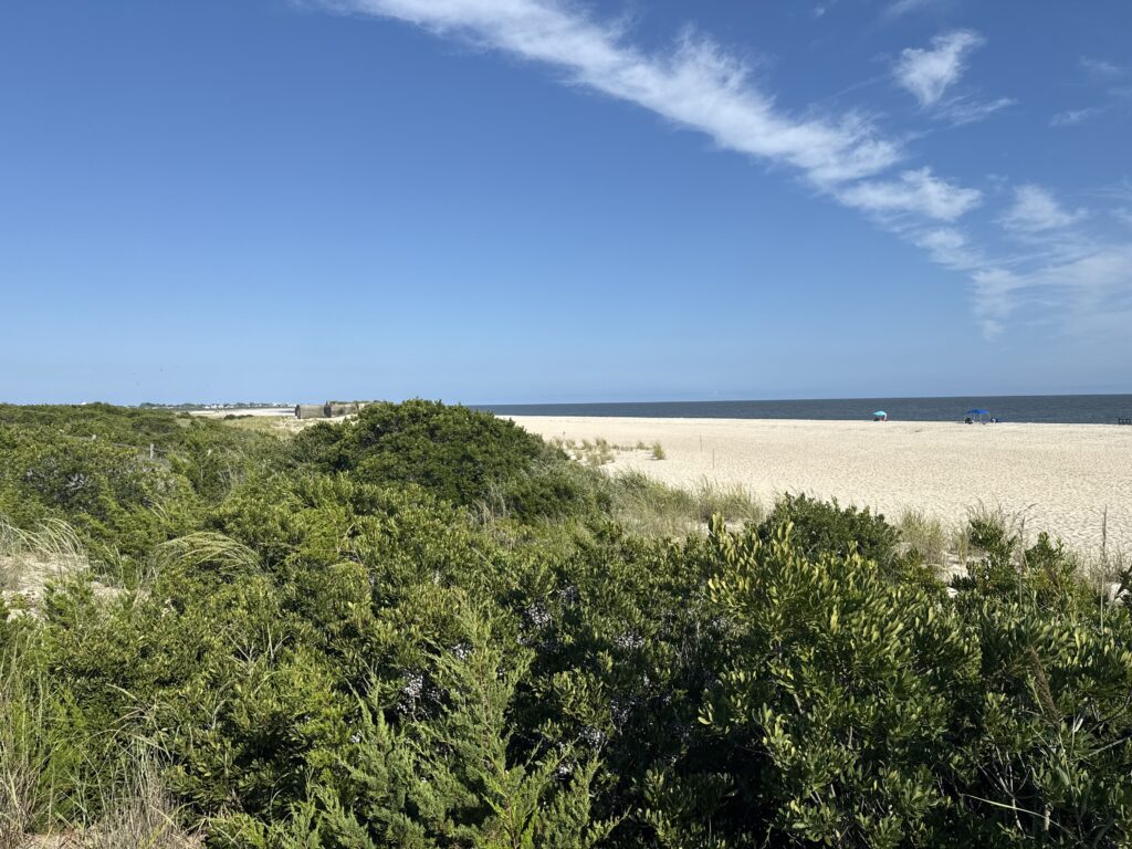 a large area of land with trees (MyCoast AI)